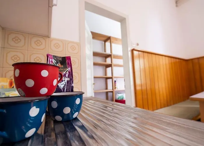 Socialist Experience In The Center * Ljubljana